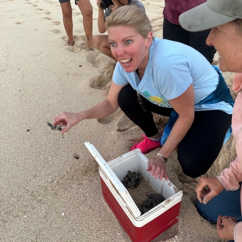 Woman holding young sea turtle on beach