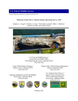 Mainstem Trinity River Chinook Salmon Spawning Survey, 2018
