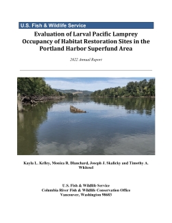Evaluation of Larval Pacific Lamprey Occupancy of Habitat Restoration Sites in the Portland Harbor Superfund Area