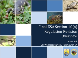 Final Endangered Species Act Section 10(a) Regulation Revisions Overview Presentation