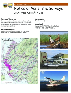 Notice of Aerial Bird Surveys - Low Flying Aircraft in Use