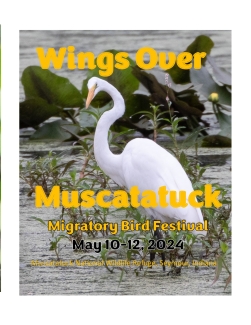 Wings Over Muscatatuck Bird Festival Flyer