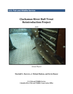 Clackamas River Bull Trout Reintroduction Project 2018