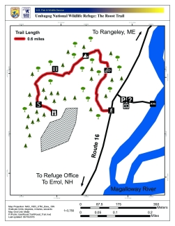 Roost Trail Map.pdf