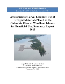 Assessment of Larval Lamprey Use of Dredged Materials Placed in the Columbia River at Woodland Islands for Beneficial Use, Summary Report 2023