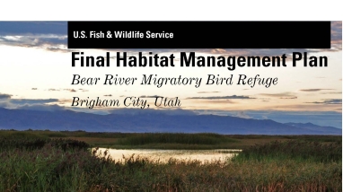 Cover of Bear River Migratory Bird Refuge 2021 Habitat Management Plan shows picture of a wetland and text stating it's the habitat management plan.