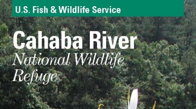 An image of the cover for the refuge brochure.