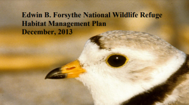 Edwin B. Forsythe NWR Draft Habitat Management Plan