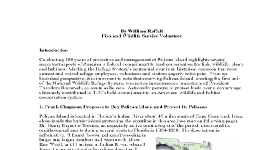 An image of the document.