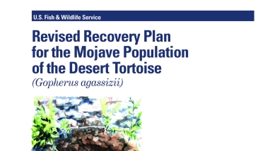 2011 Recovery Plan cover