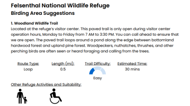 Example of one of the descriptions in the document.