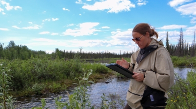 person with a clipboard looking at a patch of plants along a river