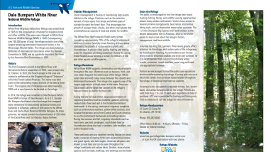 Thumbnail of the general brochure. There are three columns of text, an image of a black bear in the bottom left corner, and an image of bottomland hardwoods on the right.