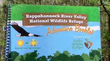 Cover photo of Junior Ranger activity booklet.