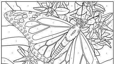 coloring page for a monarch butterfly and larvae