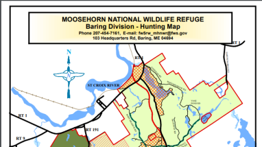 Image depicts the Baring Division of Moosehorn Hunting map.