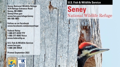 Picture of the cover of the Seney National Wildlife Refuge General Brochure