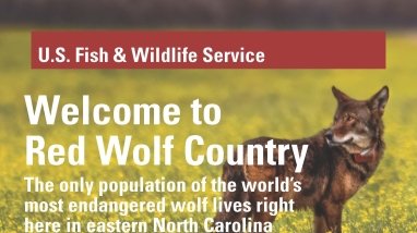a red wolf country brochure with pictures and maps