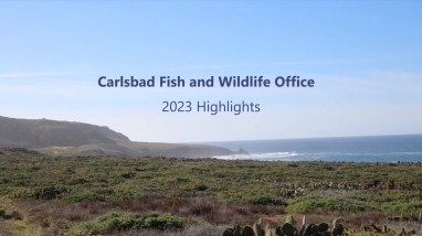 Carlsbad 2023 annual report cover