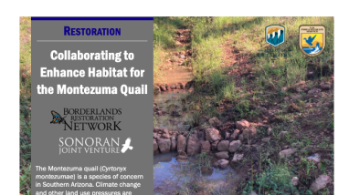 first page of handout