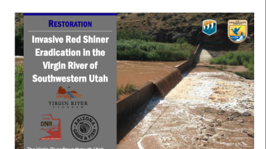 first page of handout