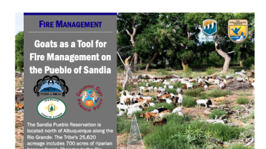 first page of handout