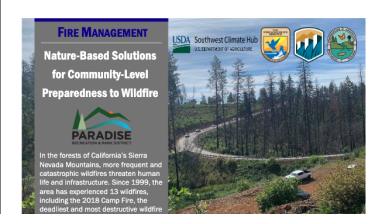 first page of handout