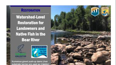 first page of handout