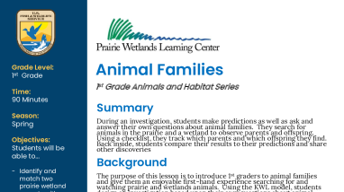 1st Grade Spring Animal Families