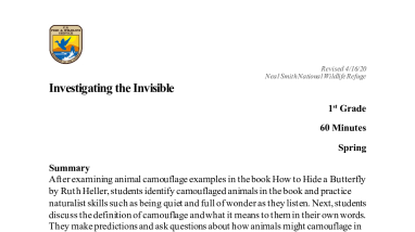 1st-grade-Investigating-the-Invisible-508.pdf