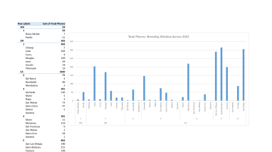 2022 Snowy Plover Pacific Coast Breeding Window Survey .pdf