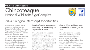 Chincoteague National Wildlife Refuge Complex Biology Internships