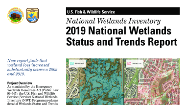 2019 National Wetlands Status and Trends Report Fact Sheet