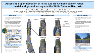 Assessing superimposition of listed tule fall Chinook salmon redds using aerial and ground surveys on the White Salmon River, WA