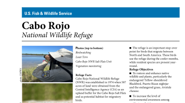 Cabo Rojo NWR Fact Sheets