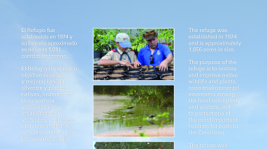 Welcome to Cabo Rojo National Wildlife Refuge (Eng/Spa)