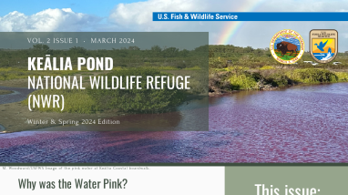 Keālia Pond NWRʻs Newsletter