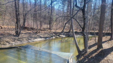 LCFWCO - SLC - Mallets 2023