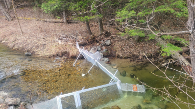 LCFWCO - SLC - Mullen 2023