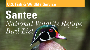 Santee National Wildlife Refuge Bird List