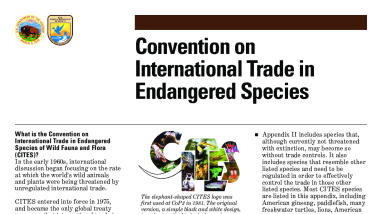 CITES Overview