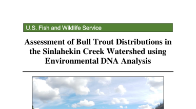 Assessment of Bull Trout occupancy within the Sinlahekin Creek watershed in the Okanogan Basin, WA using eDNA analysis