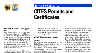 CITES Permits and Certificates