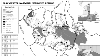 Blackwater NWR Deer Hunt Map 2024-25