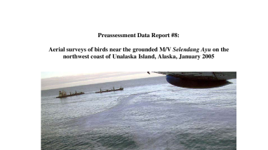 III.A.1.h Aerial surveys of birds near the grounded M/V Selendang Ayu on the northwest coast of Unalaska Island, Alaska, January 2005