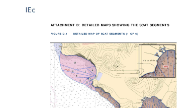 IV.A Selendang Assessment Plan Attachment D: Detailed Maps Showing the SCAT Segments