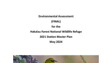 Station Master Plan - Final Environmental Assessment