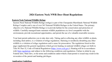 Eastern Neck NWR 2024 Deer Hunt Regulations