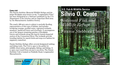 Fannie Stebbins Rack Card