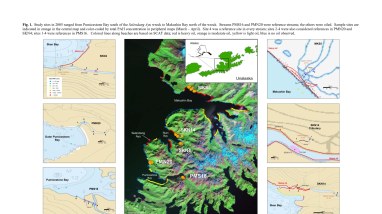 III.A.1.c1 Preassessment Data Report #3: Selendang Ayu Oil Risk to Early Life Stage Salmon - Figures